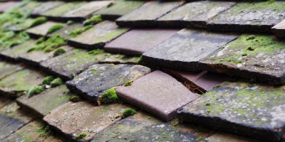 Swaffham Prior roof repair costs